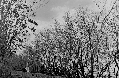 Mỗi tác phẩm là một bài thơ