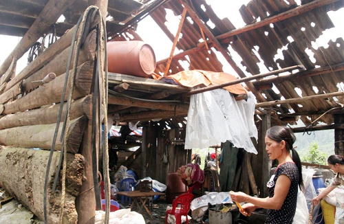 Đêm thấp thỏm ở Mường Khương