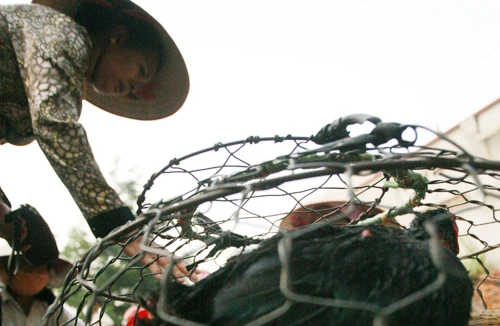 Thực phẩm quê lên ngôi 