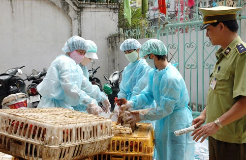 Một trường hợp tử vong do nhiễm cúm A/H5N1