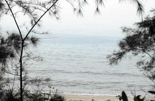 Thưởng ngoạn ở bãi biển nhiều kỷ lục