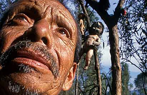 “Dị nhân” búp bê trên hòn đảo ma ám