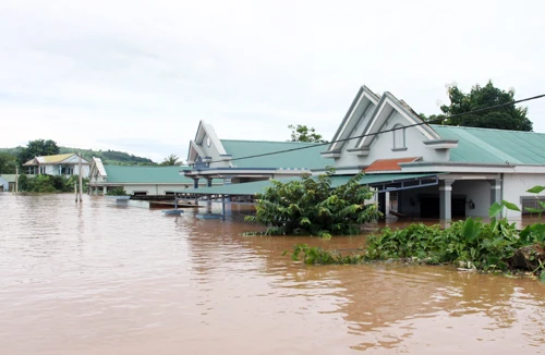 Bão số 8 gây thiệt hại lớn