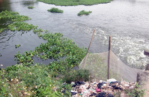 Ngôi làng vắng tiếng trẻ thơ