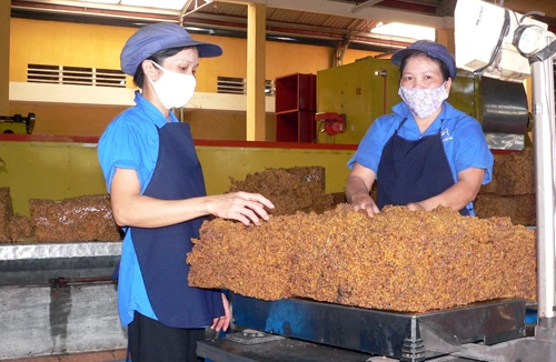 Đề xuất tăng dần tuổi nghỉ hưu