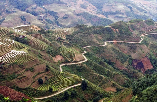 Du Già - Mậu Duệ: Thiên lý dặm trường