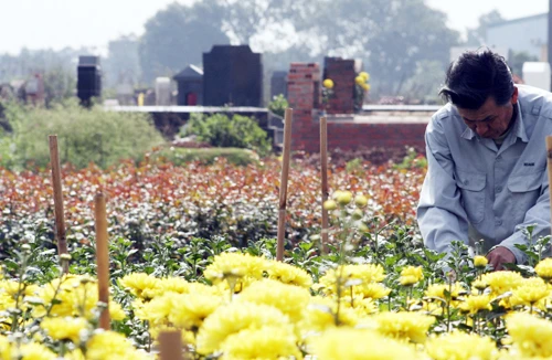 Không chốt được đền bù GPMB, dự án nằm im