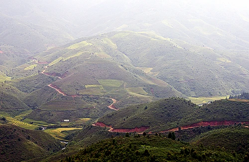 Khám phá rừng Chế Tạo