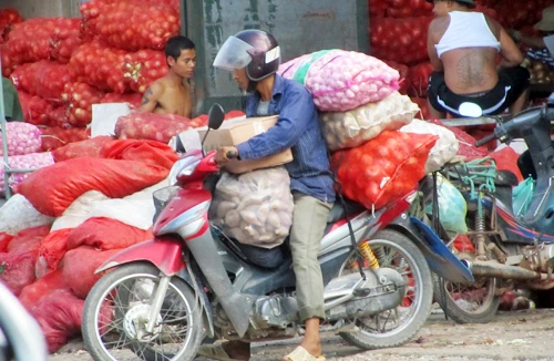 Nông sản Trung Quốc tập kết ở Bắc Ninh