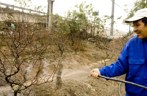 Nông dân thất thu vì thời tiết thất thường