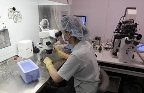 Cất trứng... để dành