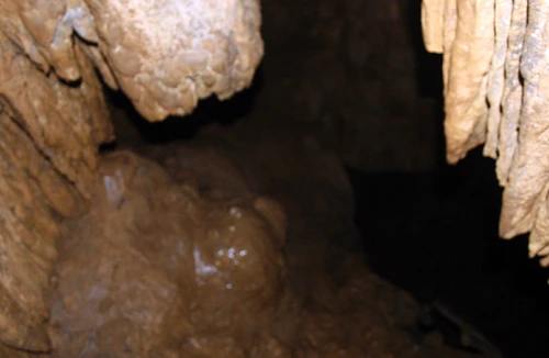 Sự thật về hang vàng xứ Thanh