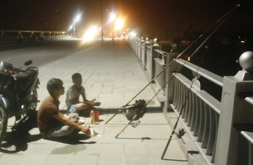 Câu cá trên cầu Dã Viên 