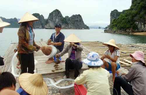 Hòn đảo của những phận người