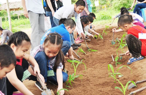 Đau đầu vì con sắp nghỉ hè