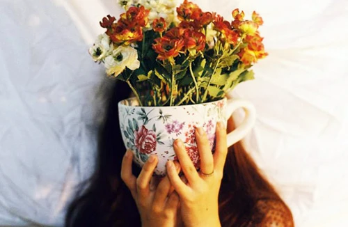 “Những giấc mơ mà tôi đi tìm”