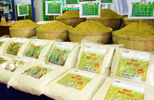 Chưa phát hiện gạo Trung Quốc có chất gây ung thư tại Việt Nam