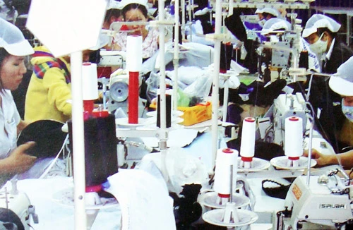 5 năm gia nhập WTO: Hệ quả không mong muốn