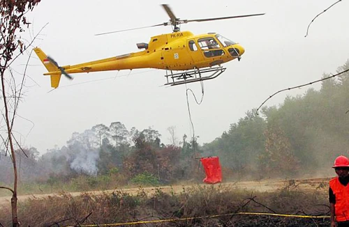 Ca tử vong đầu tiên do khói mù ở Malaysia