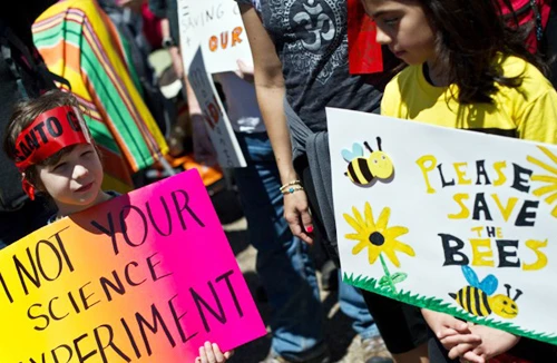 Hàng trăm nghìn người phản đối công ty Monsanto