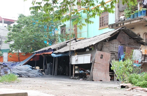 Những tiếng kêu vô vọng