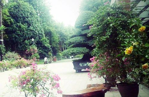 Chớ lóa mắt với biệt thự sinh thái giá rẻ