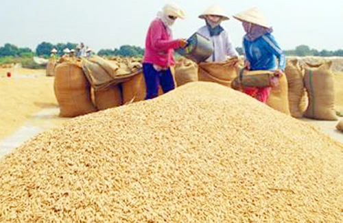 Điểm sáng giảm đói nghèo