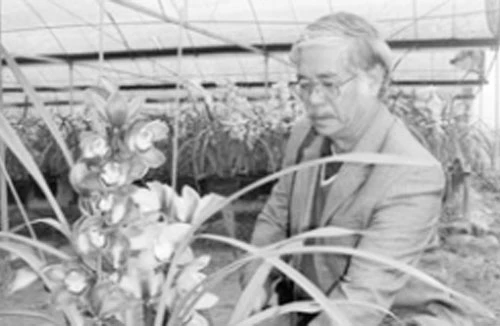 Mê hoa hơn mê…vợ