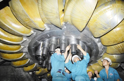 Vụ tranh chấp bản quyền ảnh: Dừng lại để cảm thông hơn