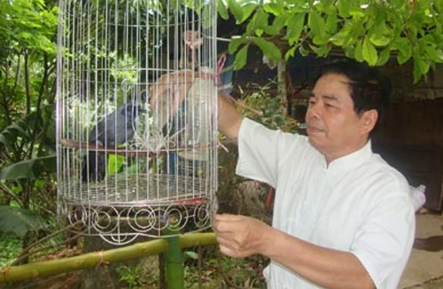 “Làm trai không sai bản xứ”