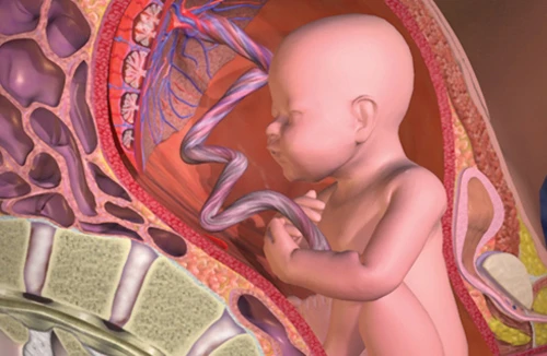 Lưu giữ tế bào gốc từ cuống dây rốn: Niềm tin vào điều kỳ diệu