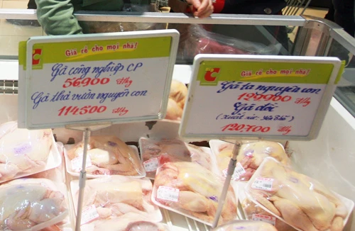 Big C khẳng định bán gà đúng nguồn gốc