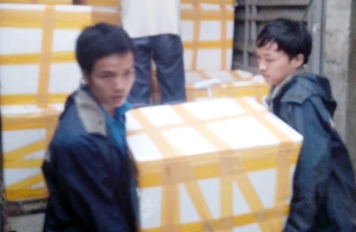 Thay xe, tráo biển số, thuê “chim lợn” dẫn đường