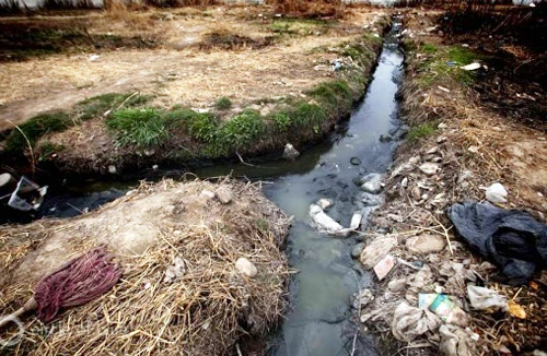 Nước sông ở Bắc Kinh ô nhiễm nặng