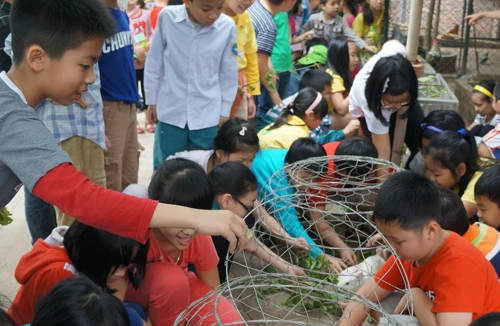 Trường học không phải là “ốc đảo” 
