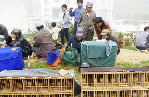 Chợ Họa Mi trên đường biên giới