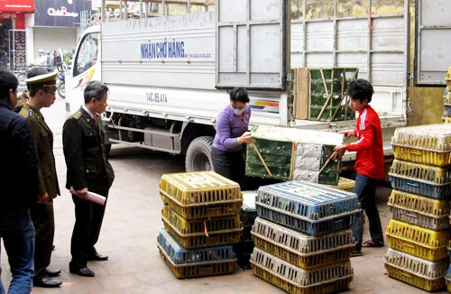 Khẳng định vai trò, vị thế