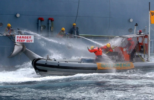 Interpol phải ra tay