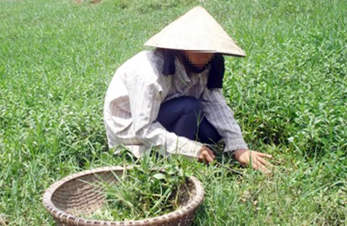 Ra thành phố làm thêm bị lạm dụng tình dục 