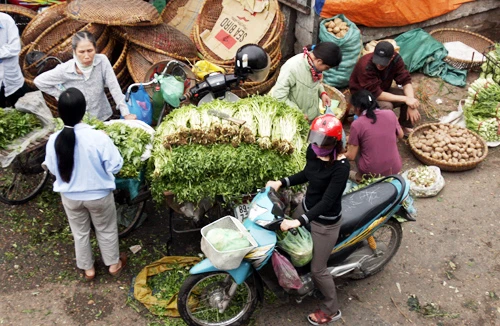Rau xanh hạ nhiệt 