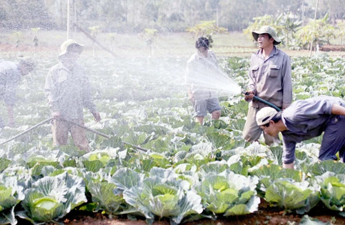 Nơi “cơn bão” ma túy đi qua
