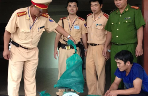 Nằm cạnh… hổ mang chúa trên xe khách