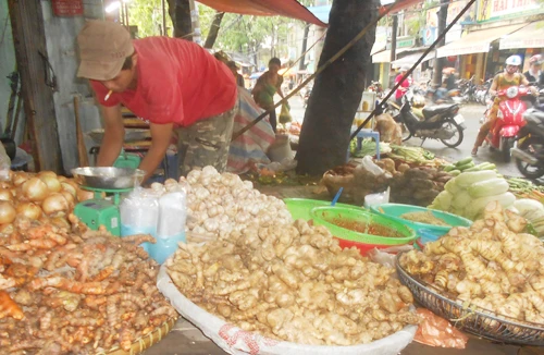 TP. HCM: Nhiều, nhưng không “ngập” chợ