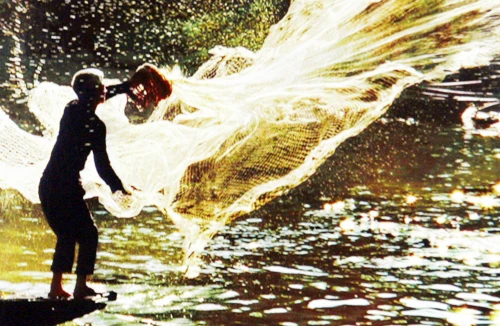 Ngọt thơm cá đồng ngày Tết