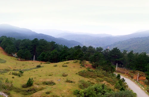 Đèo Phia Oắc - nơi thần tiên hoang dã 