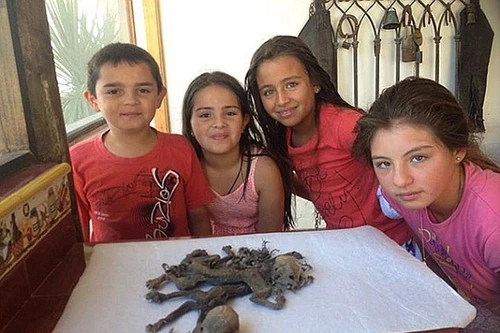 Phát hiện xác “quỷ hút máu dê” ở Chile