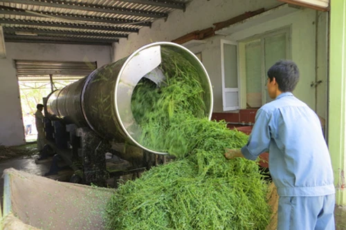 Bài q/c đăng 9h ngày 14-11