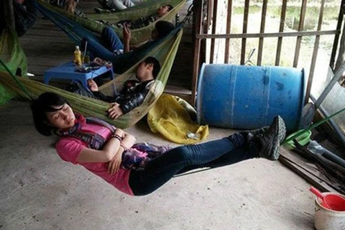 Nữ phượt thủ ngủ vắt vẻo trên sợi dây gây "bão" mạng