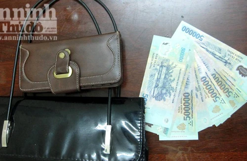 Tìm bị hại 10 vụ trộm cắp túi xách của người đi đường