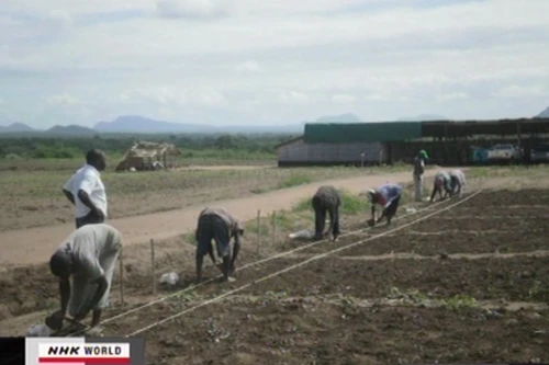 Nhật Bản tăng cường đầu tư vào châu Phi